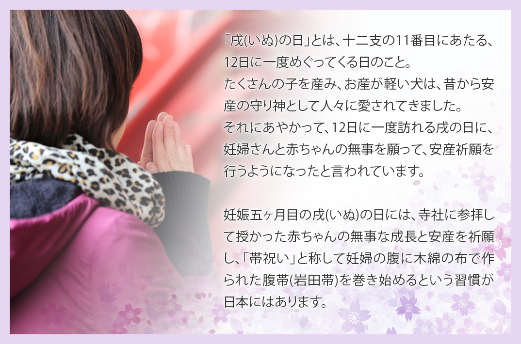 戌の日の帯祝い